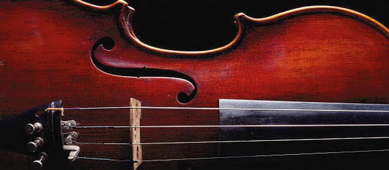 violon violon