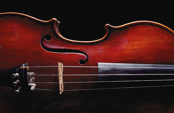 violon violon